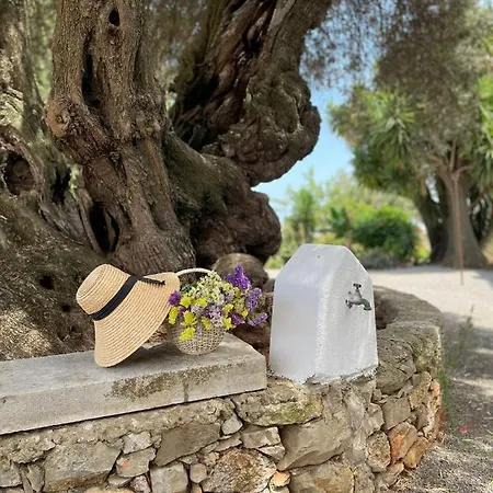 Quinta Vale Caranguejo