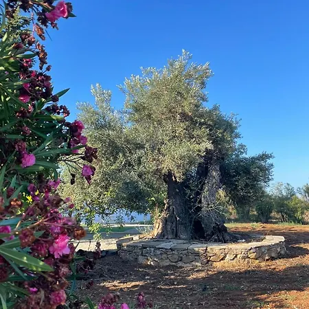 Holiday home Quinta Vale Caranguejo