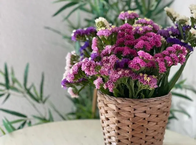 Quinta Vale Caranguejo Holiday home *