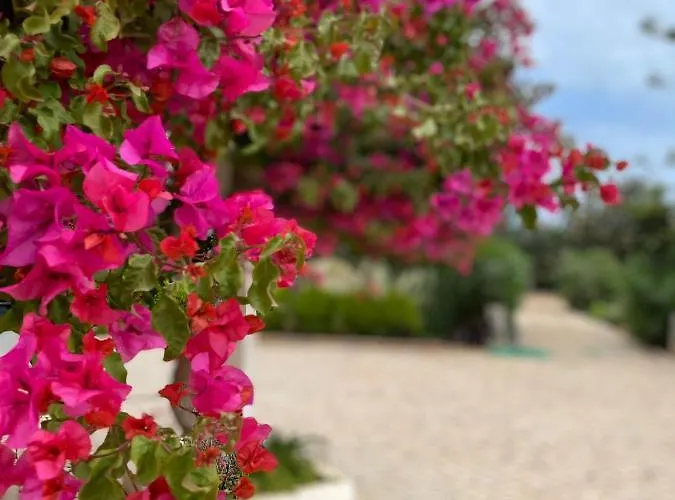 Quinta Vale Caranguejo * Tavira