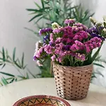 Quinta Vale Caranguejo Дом отдыха *