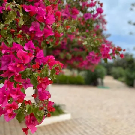 Quinta Vale Caranguejo * Tavira