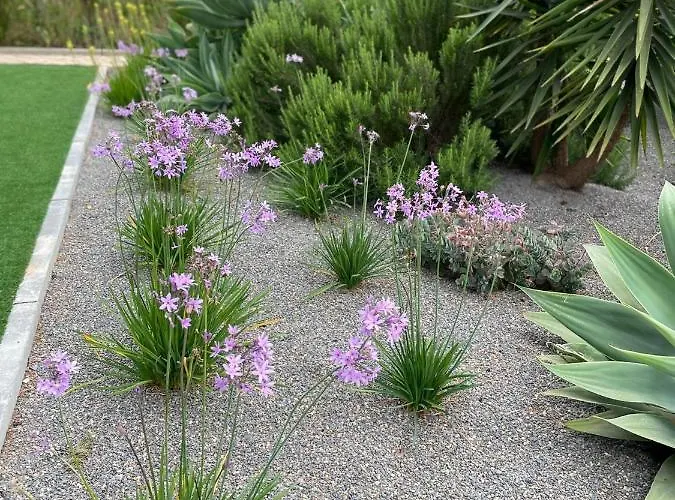 Quinta Vale Caranguejo Vakantiehuis