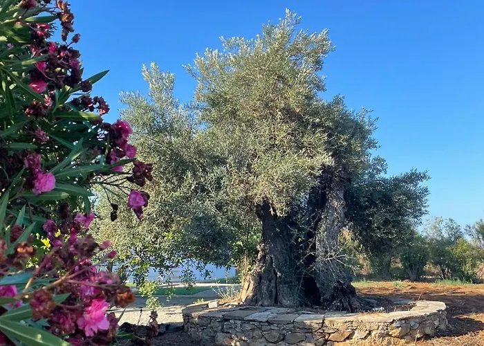 Vakantiehuis Quinta Vale Caranguejo